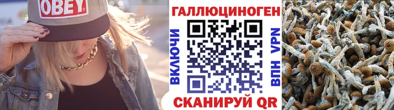 Галлюциногенные грибы прущие грибы  blacksprut сайт  darknet клад  Хвалынск 